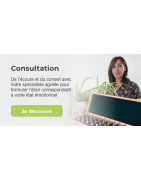 Consultations Consultations