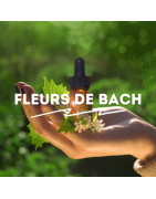 Tous les Mélanges de Fleurs de Bach préparés à partir des Originaux