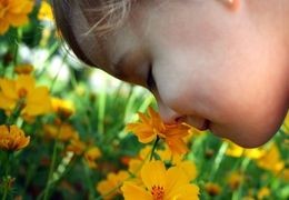 Et si vous soigniez vos Enfants avec des Fleurs de Bach ? - Blog d'Angélique